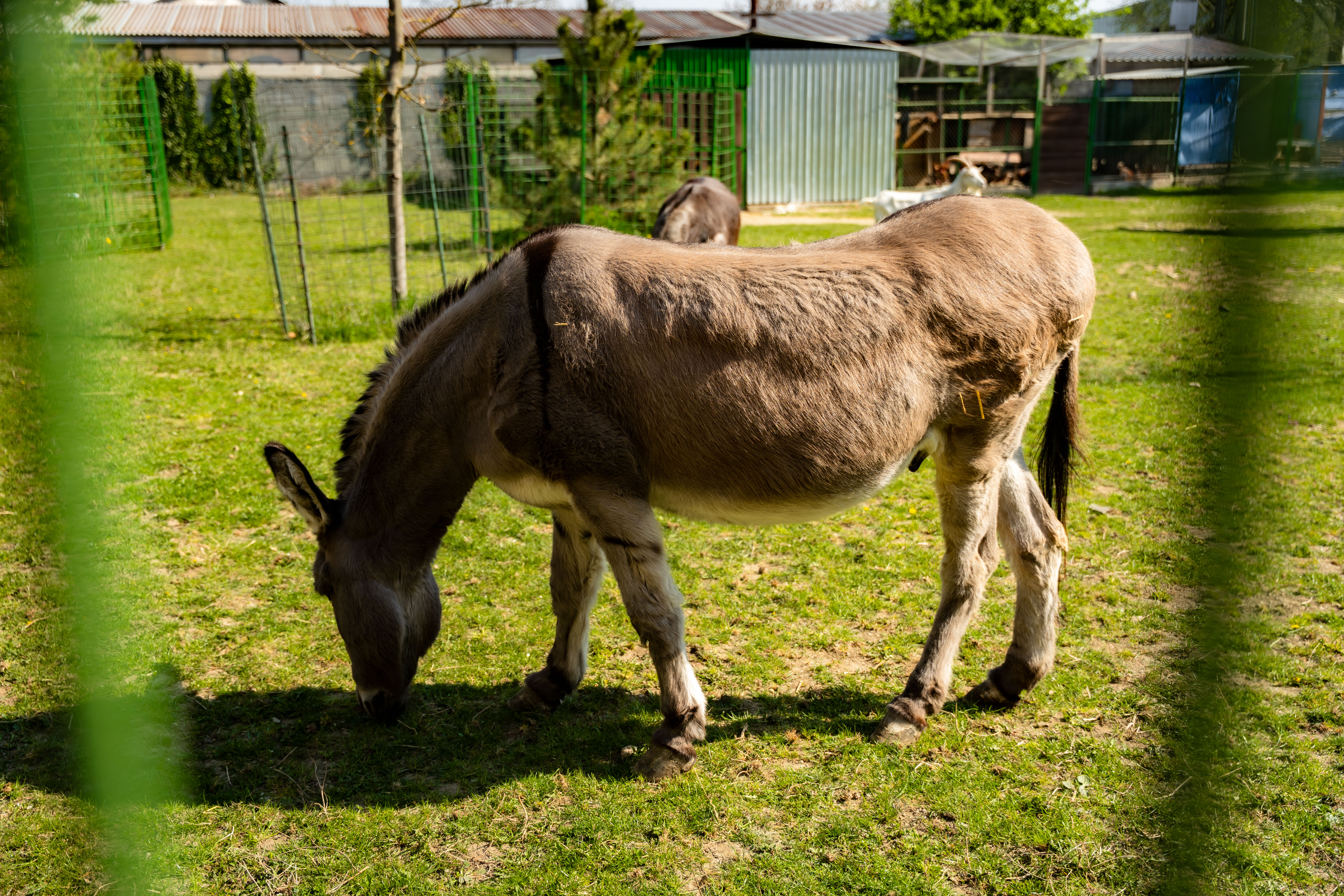 Vyjazdove rokovanie MRK-1-42
